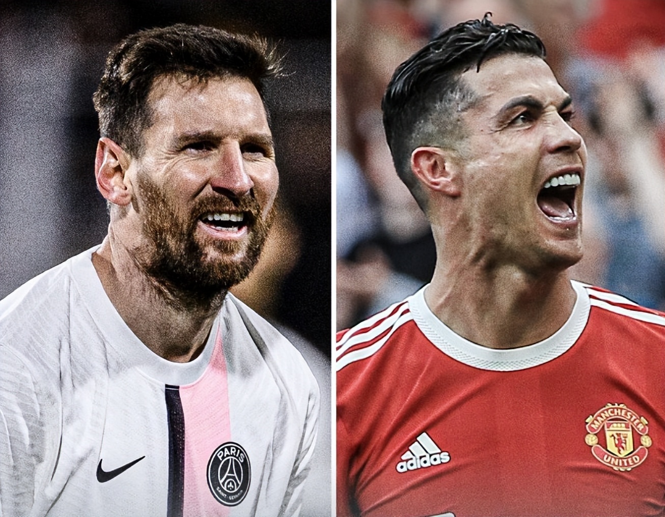 作为参考 作为参考